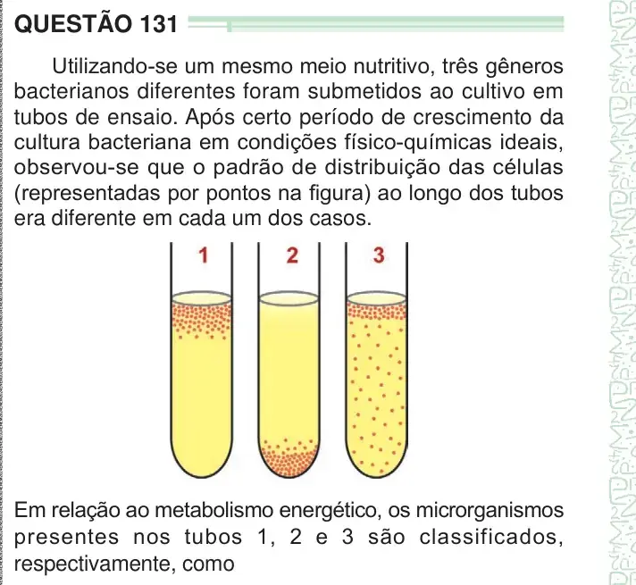 Enunciado da questão 131 do ENEM 2024 Dia 2