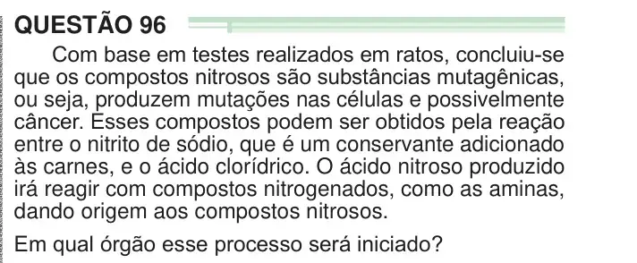 Enunciado da questão 96 do ENEM 2024 Dia 2