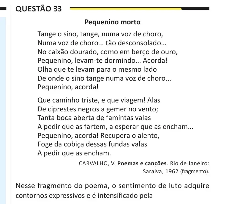 Enunciado da questão 33 do ENEM 2025 Dia 1