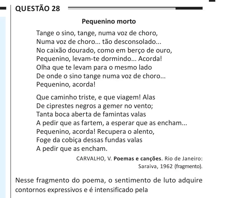 Enunciado da questão 28 do ENEM 2025 Dia 1