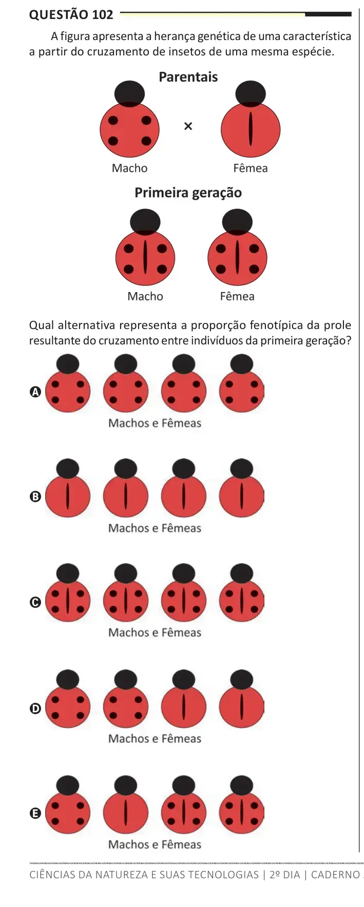 Enunciado da questão 102 do ENEM 2025 Dia 2