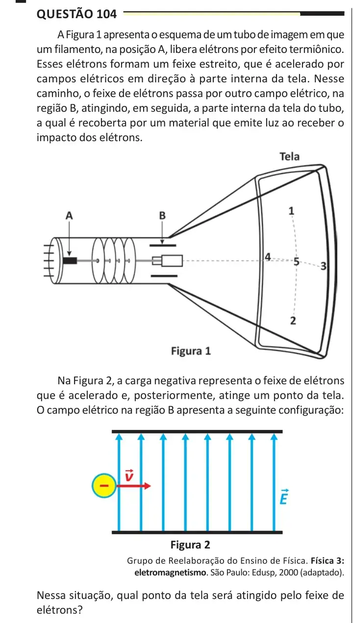 Enunciado da questão 104 do ENEM 2025 Dia 2
