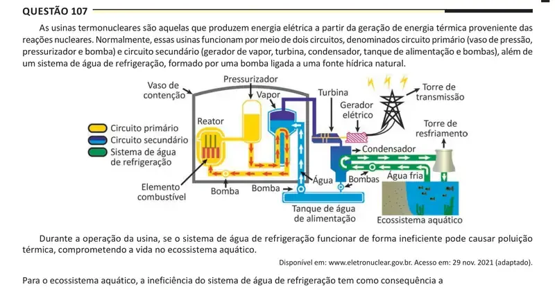 Enunciado da questão 107 do ENEM 2025 Dia 2