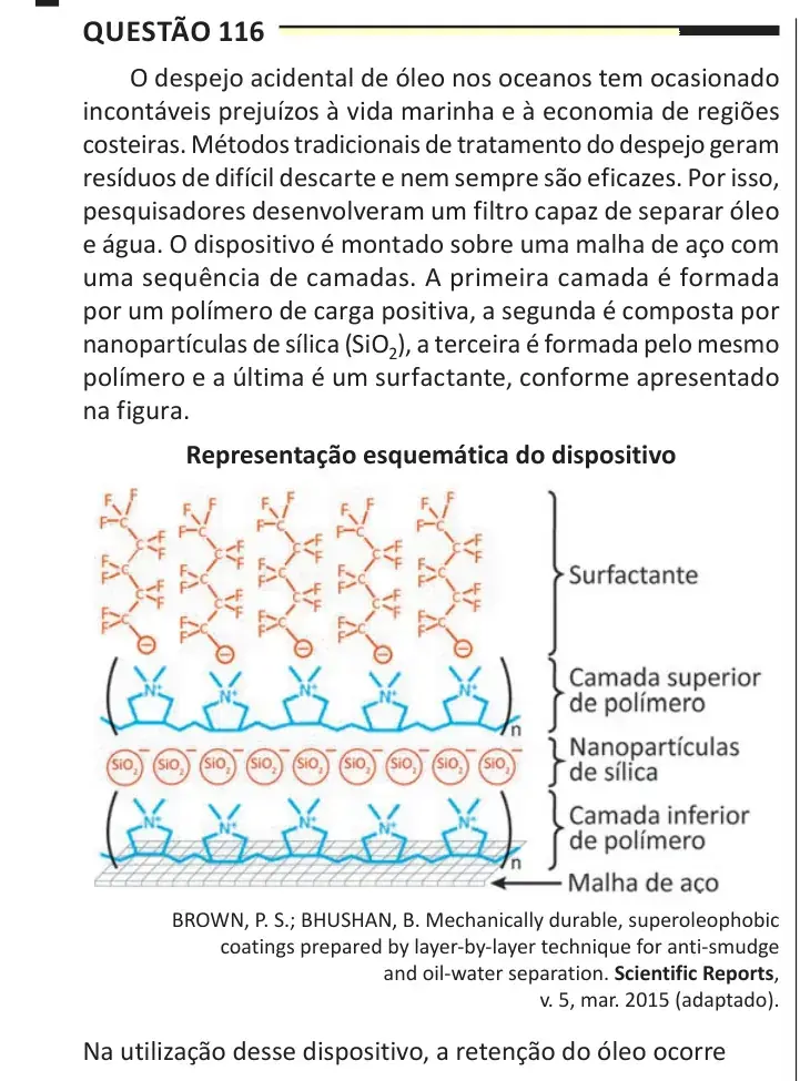Enunciado da questão 116 do ENEM 2025 Dia 2