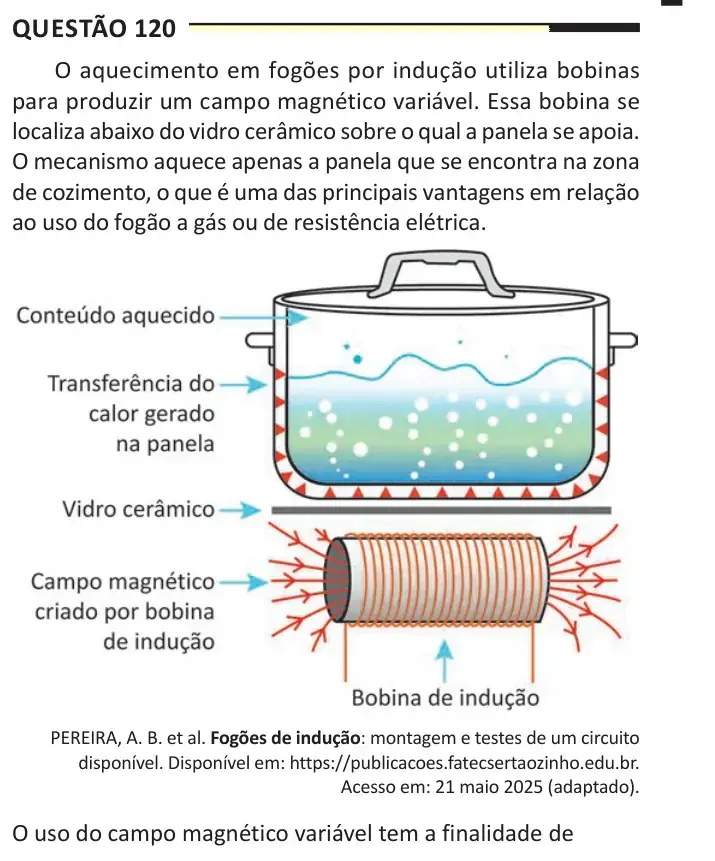 Enunciado da questão 120 do ENEM 2025 Dia 2