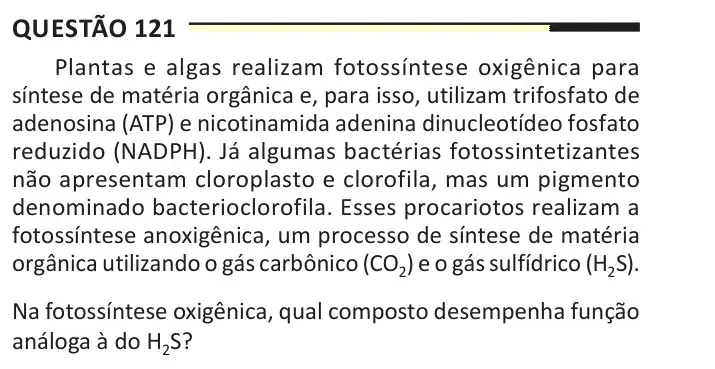 Enunciado da questão 121 do ENEM 2025 Dia 2