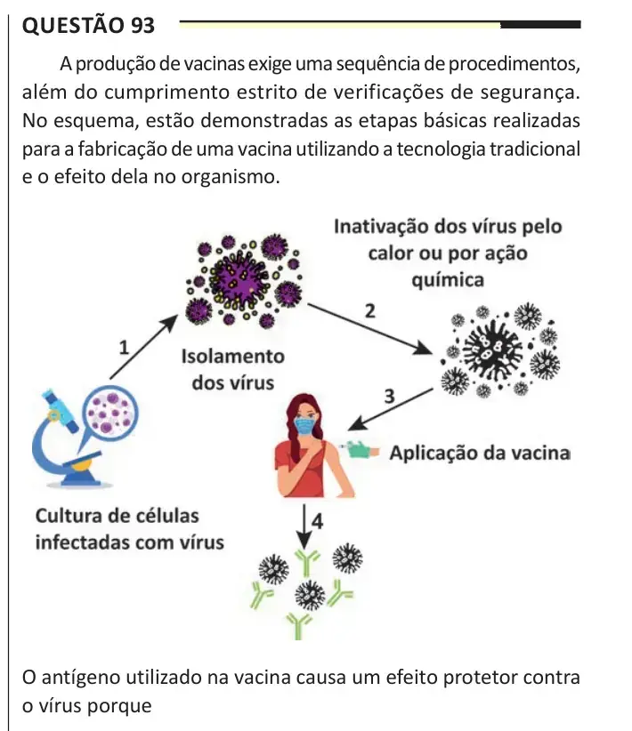 Enunciado da questão 93 do ENEM 2025 Dia 2