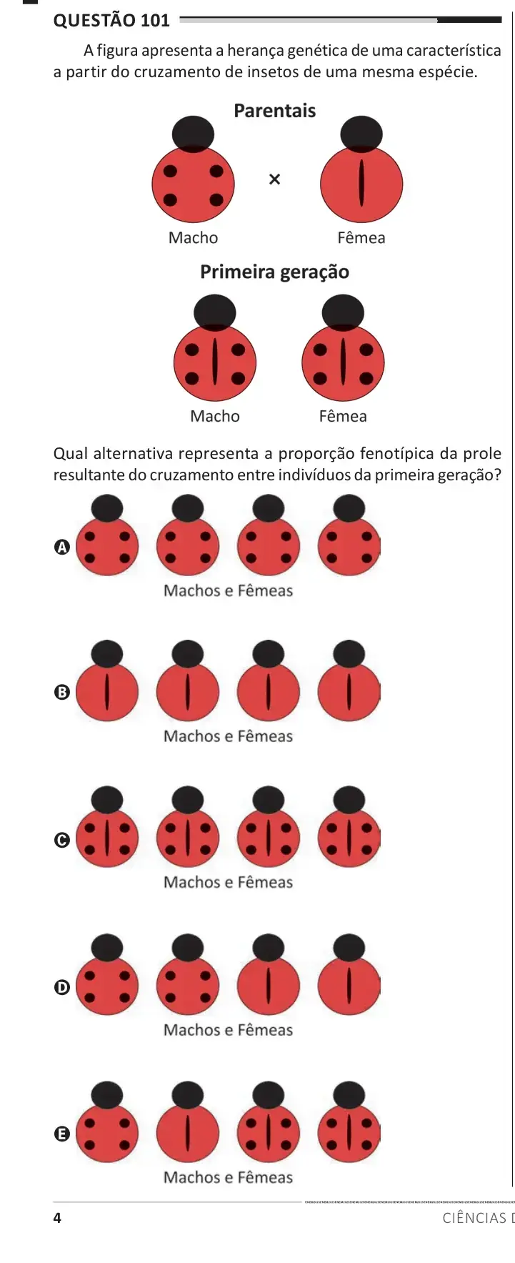 Enunciado da questão 101 do ENEM 2025