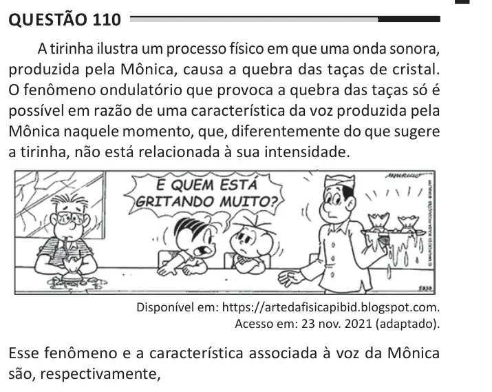 Enunciado da questão 110 do ENEM 2025