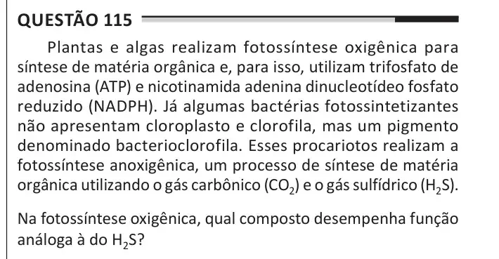 Enunciado da questão 115 do ENEM 2025
