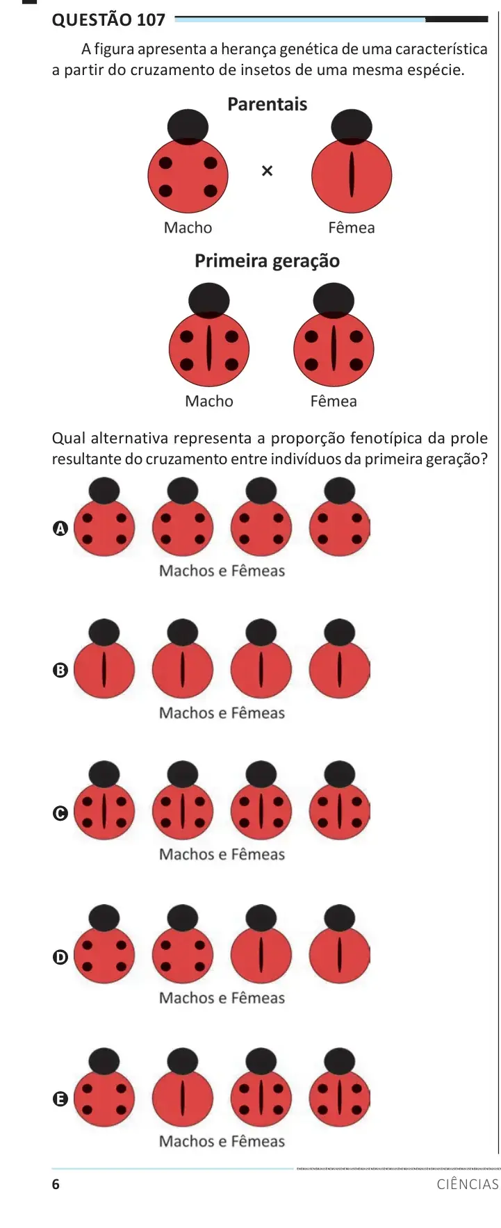 Enunciado da questão 107 do ENEM 2025 Dia 2