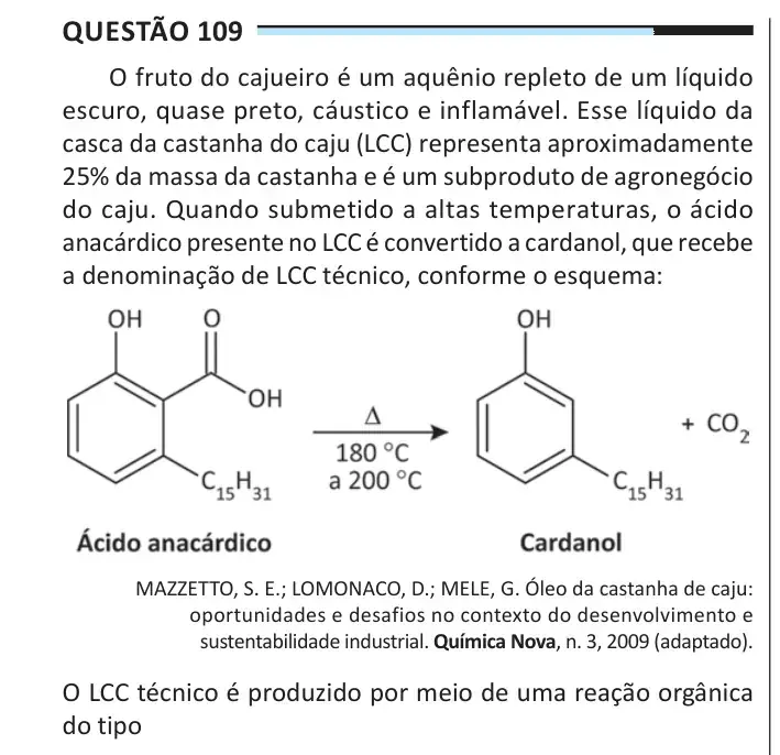 Enunciado da questão 109 do ENEM 2025 Dia 2