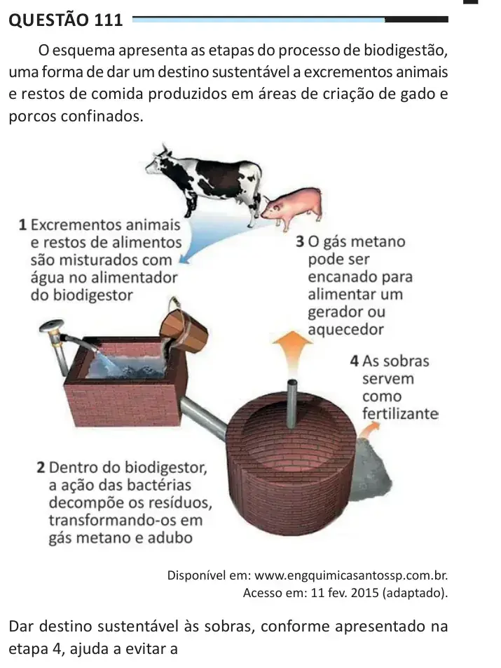 Enunciado da questão 111 do ENEM 2025 Dia 2