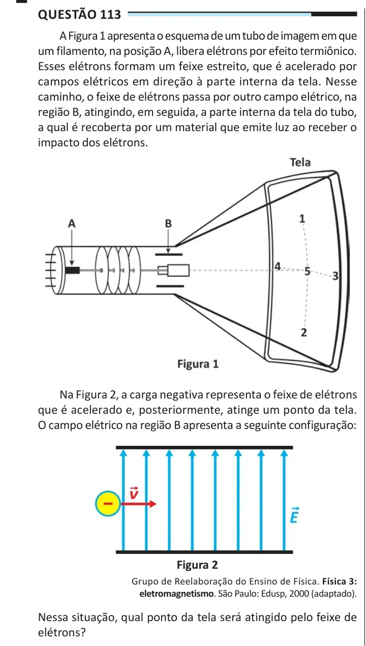 Enunciado da questão 113 do ENEM 2025 Dia 2