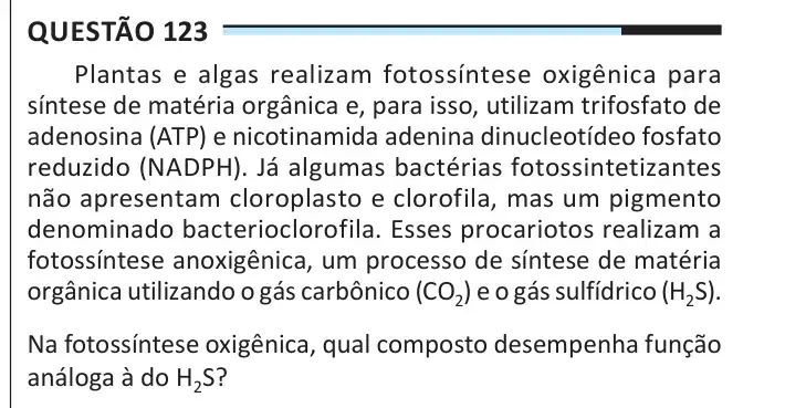 Enunciado da questão 123 do ENEM 2025 Dia 2