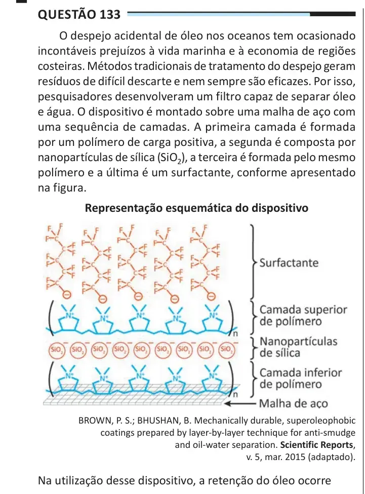 Enunciado da questão 133 do ENEM 2025 Dia 2