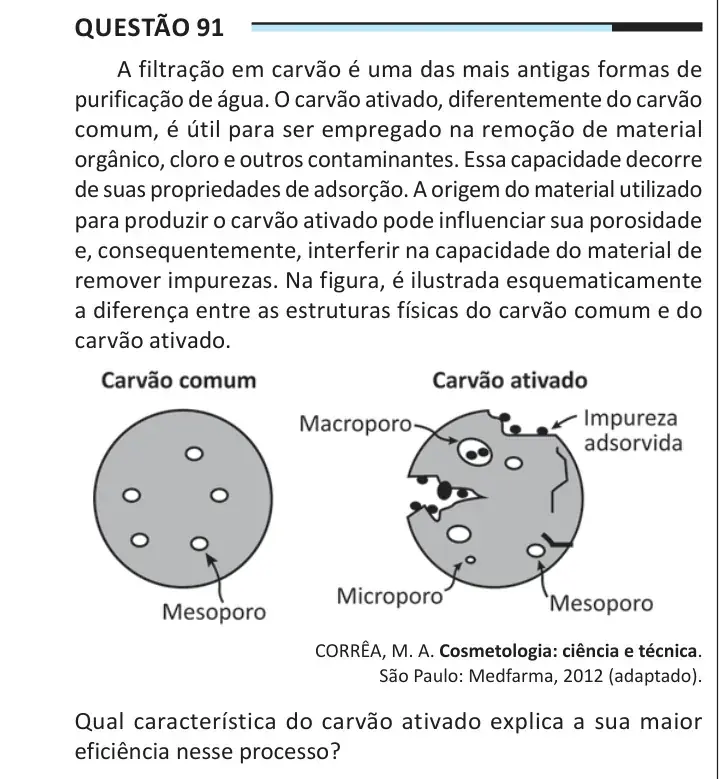 Enunciado da questão 91 do ENEM 2025 Dia 2