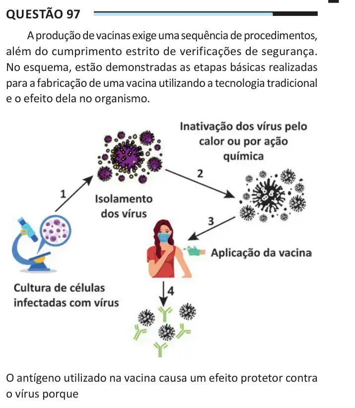 Enunciado da questão 97 do ENEM 2025 Dia 2
