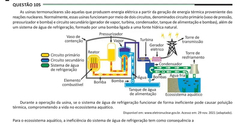 Enunciado da questão 105 do ENEM 2025 Dia 2