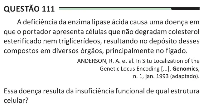 Enunciado da questão 111 do ENEM 2025 Dia 2