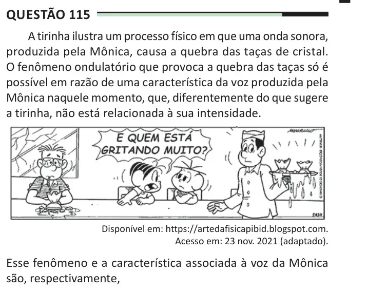 Enunciado da questão 115 do ENEM 2025 Dia 2