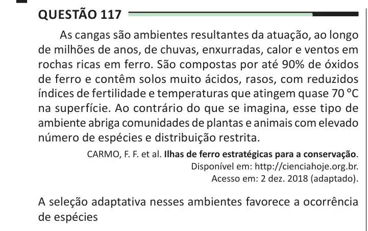 Enunciado da questão 117 do ENEM 2025 Dia 2