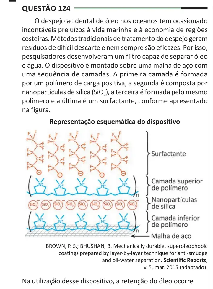 Enunciado da questão 124 do ENEM 2025 Dia 2