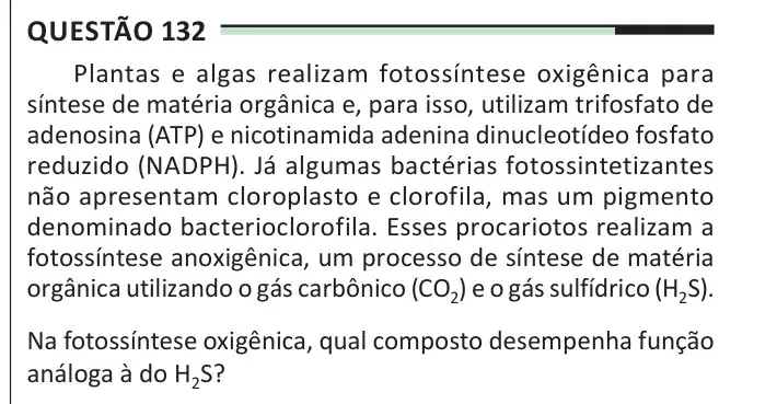 Enunciado da questão 132 do ENEM 2025 Dia 2