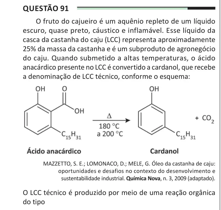 Enunciado da questão 91 do ENEM 2025 Dia 2