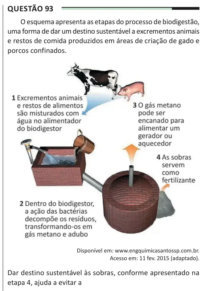 Enunciado da questão 93 do ENEM 2025 Dia 2