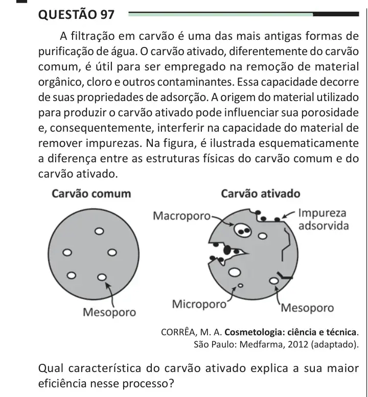 Enunciado da questão 97 do ENEM 2025 Dia 2